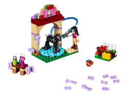LEGO 41123 Foal's Washing Station